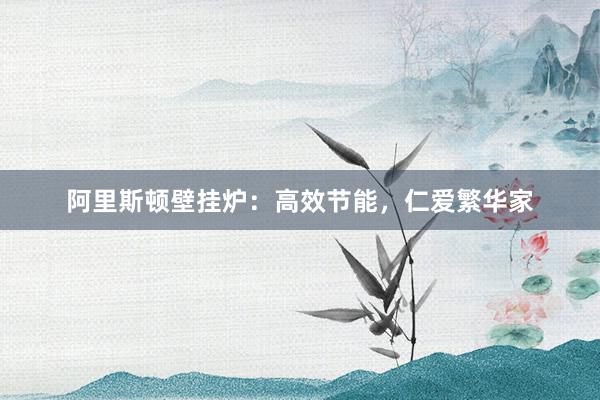 阿里斯顿壁挂炉：高效节能，仁爱繁华家