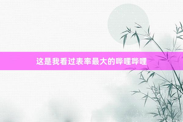 这是我看过表率最大的哔哩哔哩