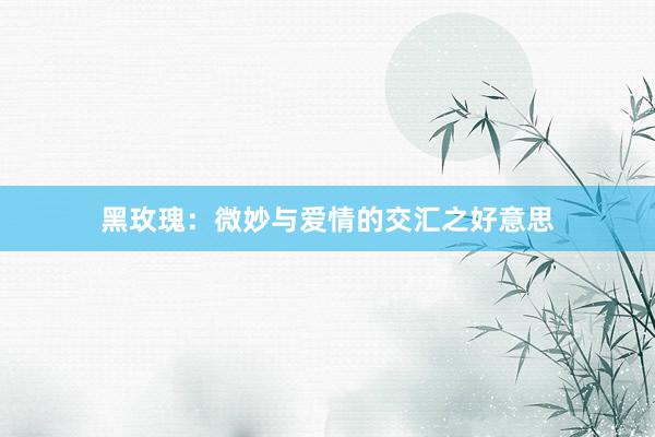 黑玫瑰：微妙与爱情的交汇之好意思
