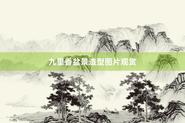 九里香盆景造型图片观赏