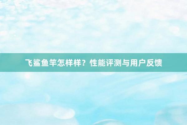 飞鲨鱼竿怎样样？性能评测与用户反馈