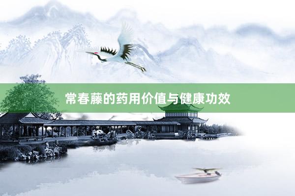 常春藤的药用价值与健康功效
