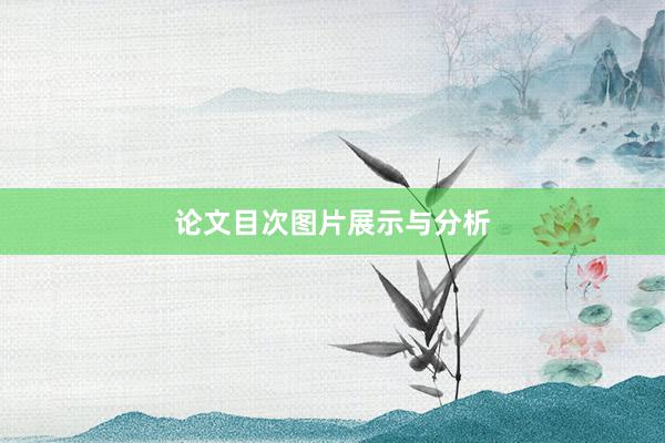 论文目次图片展示与分析